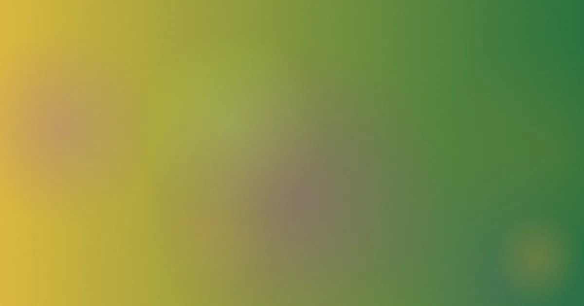 成人福利视频导航是什么